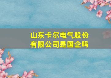 山东卡尔电气股份有限公司是国企吗