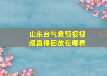 山东台气象预报视频直播回放在哪看