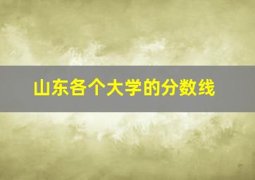 山东各个大学的分数线