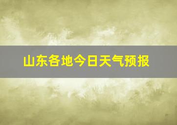 山东各地今日天气预报