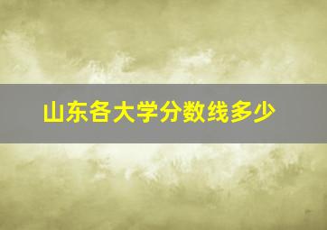 山东各大学分数线多少