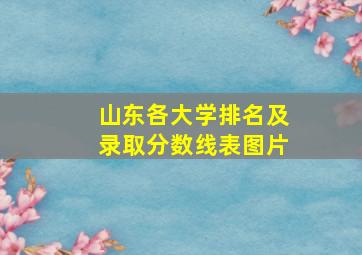 山东各大学排名及录取分数线表图片