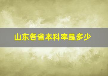 山东各省本科率是多少