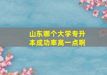 山东哪个大学专升本成功率高一点啊