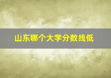 山东哪个大学分数线低