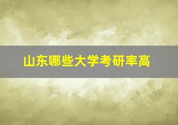 山东哪些大学考研率高