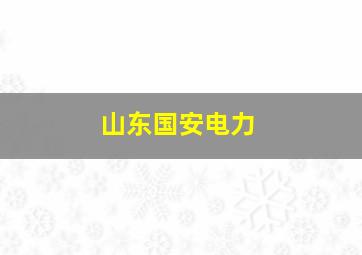 山东国安电力