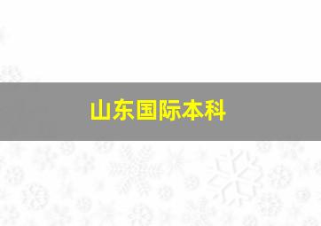 山东国际本科