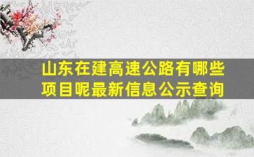 山东在建高速公路有哪些项目呢最新信息公示查询