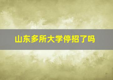 山东多所大学停招了吗