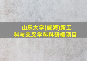 山东大学(威海)新工科与交叉学科科研楼项目