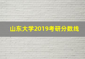 山东大学2019考研分数线