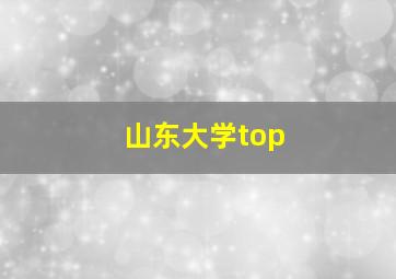 山东大学top