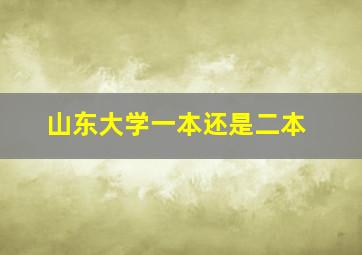 山东大学一本还是二本