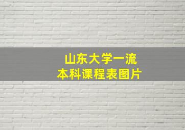 山东大学一流本科课程表图片