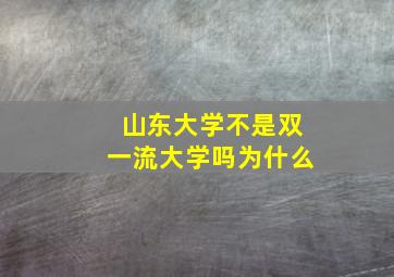 山东大学不是双一流大学吗为什么