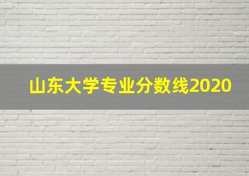 山东大学专业分数线2020