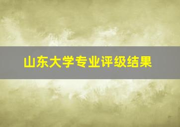 山东大学专业评级结果