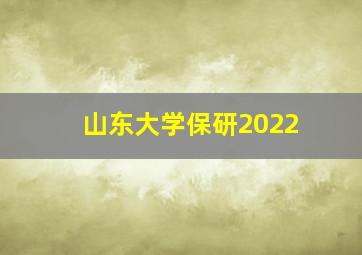 山东大学保研2022