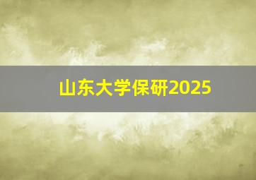 山东大学保研2025