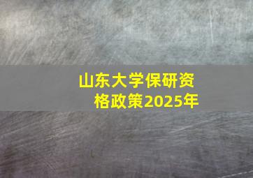 山东大学保研资格政策2025年