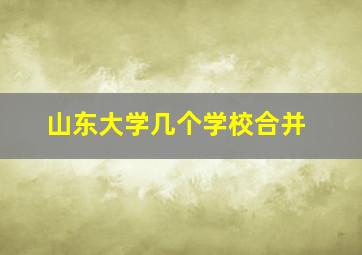 山东大学几个学校合并