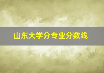 山东大学分专业分数线