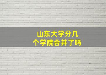 山东大学分几个学院合并了吗