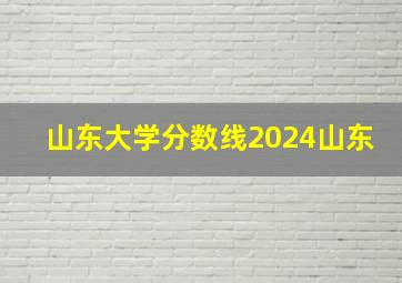 山东大学分数线2024山东