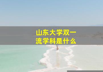 山东大学双一流学科是什么