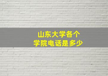 山东大学各个学院电话是多少