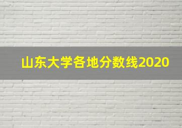 山东大学各地分数线2020