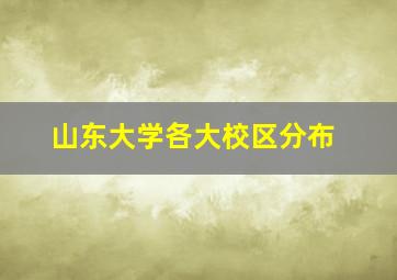 山东大学各大校区分布