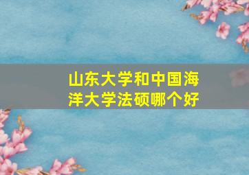 山东大学和中国海洋大学法硕哪个好