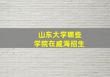 山东大学哪些学院在威海招生