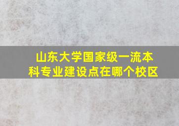 山东大学国家级一流本科专业建设点在哪个校区