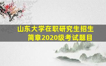 山东大学在职研究生招生简章2020级考试题目