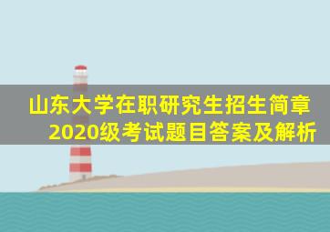 山东大学在职研究生招生简章2020级考试题目答案及解析