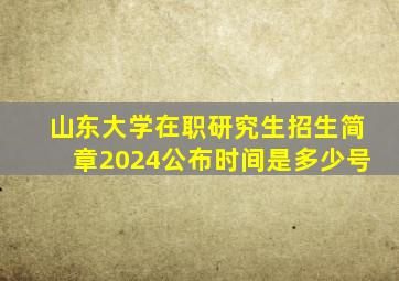 山东大学在职研究生招生简章2024公布时间是多少号