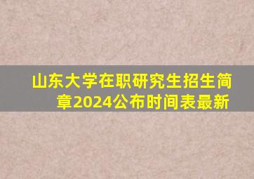 山东大学在职研究生招生简章2024公布时间表最新