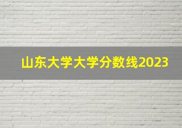 山东大学大学分数线2023