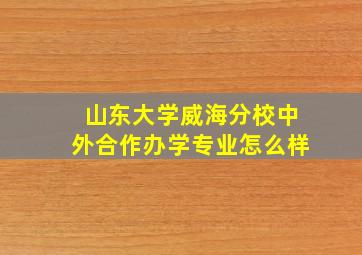 山东大学威海分校中外合作办学专业怎么样