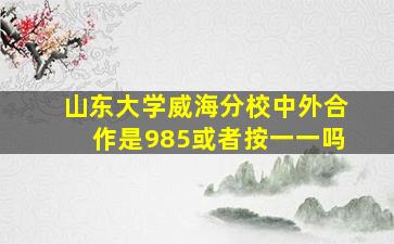 山东大学威海分校中外合作是985或者按一一吗