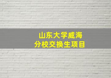 山东大学威海分校交换生项目