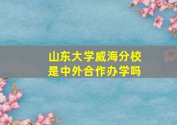 山东大学威海分校是中外合作办学吗