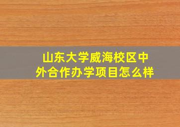 山东大学威海校区中外合作办学项目怎么样