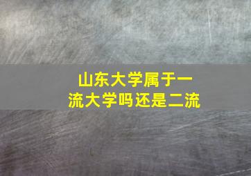 山东大学属于一流大学吗还是二流