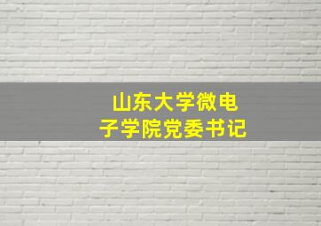 山东大学微电子学院党委书记