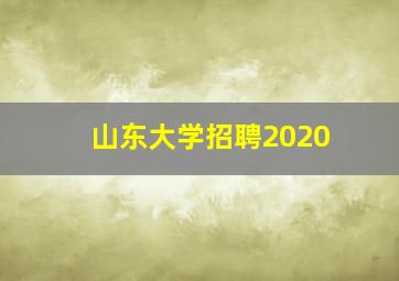 山东大学招聘2020