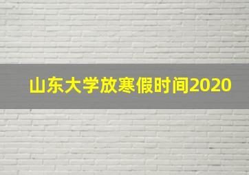 山东大学放寒假时间2020